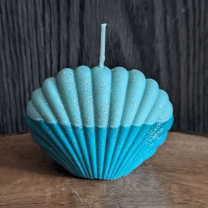 Big seashell
