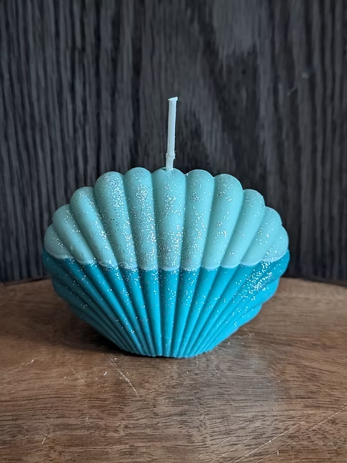 Big Seashell